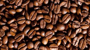 East Africa’s Cold Chain Push Aims to Unlock Billions in Agricultural Exports