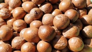Rand Rally Robs South African Macadamia Growers of Dollar Gains