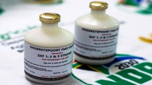 South Africa, Botswana Forge Biosecurity Pact to Combat Foot-and-Mouth Disease, Trade Friction