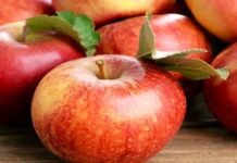 SA Agricultural Trade Surplus Hits Record $1.55 Billion on Tumble in Import Costs