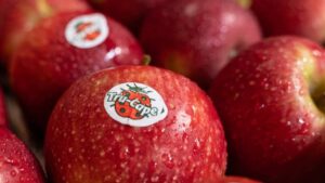 Tru-Cape marks 25 years in South African apple and pear exports